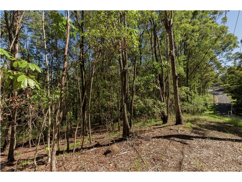 Elanora QLD 4221