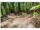 Elanora QLD 4221