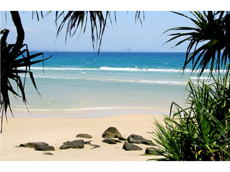 14/140 Marine Parade, Coolangatta QLD 4225