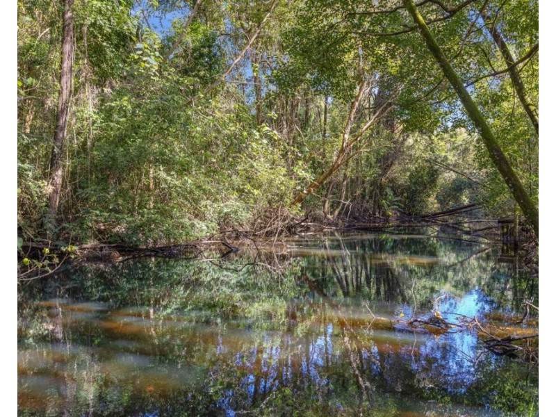 51 Phillip Street, Chinderah NSW 2487