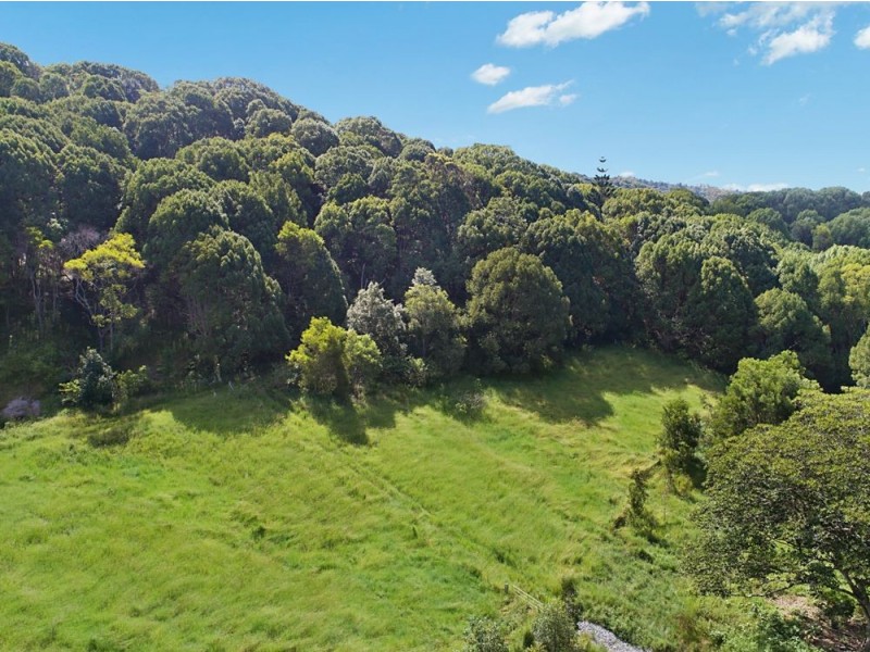 1030 Currumbin Creek Road, Currumbin Valley QLD 4223