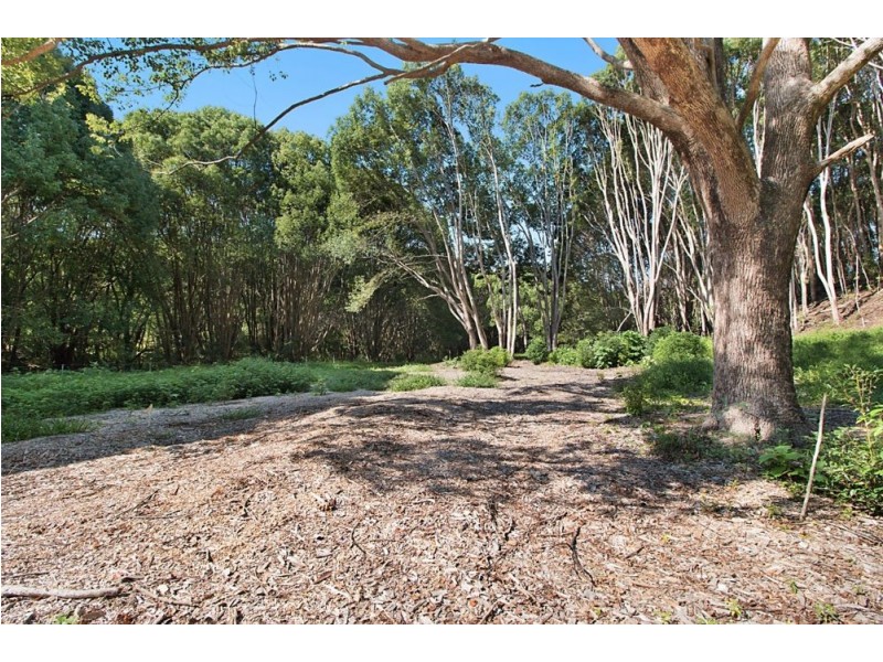 1030 Currumbin Creek Road, Currumbin Valley QLD 4223