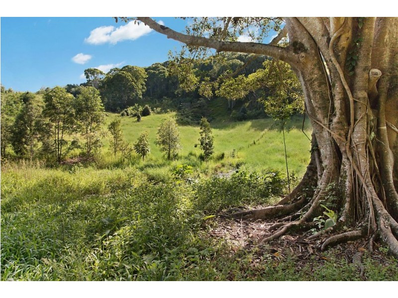 1030 Currumbin Creek Road, Currumbin Valley QLD 4223