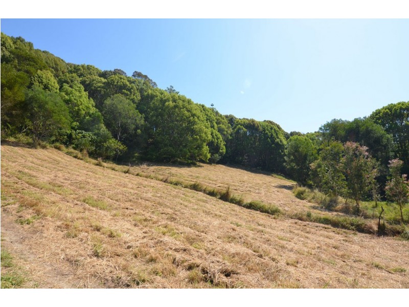 1030 Currumbin Creek Road, Currumbin Valley QLD 4223