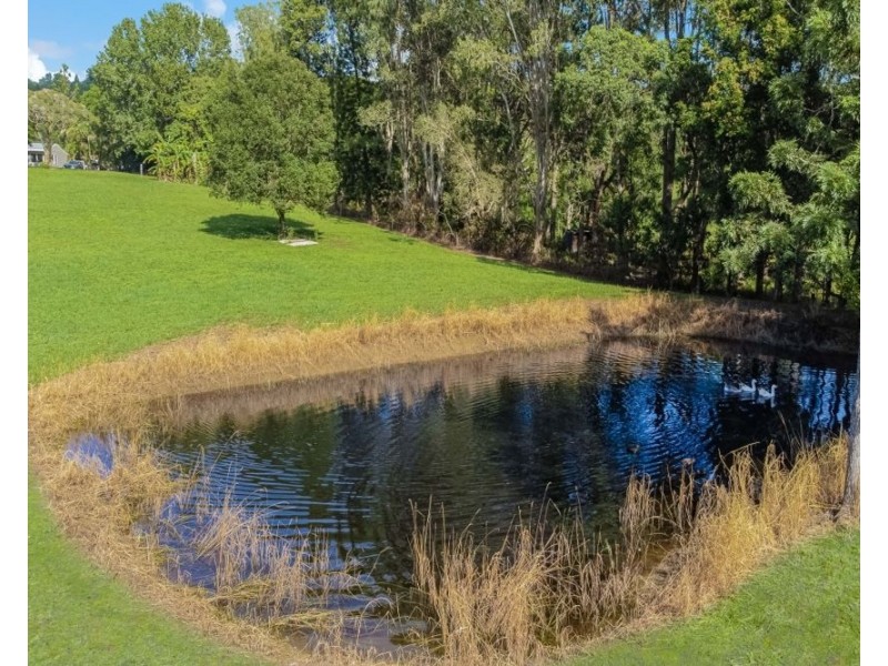 20 Green Valley Way, Piggabeen NSW 2486