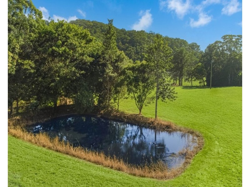 20 Green Valley Way, Piggabeen NSW 2486