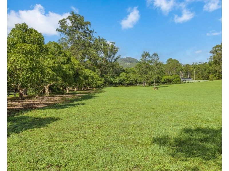 20 Green Valley Way, Piggabeen NSW 2486