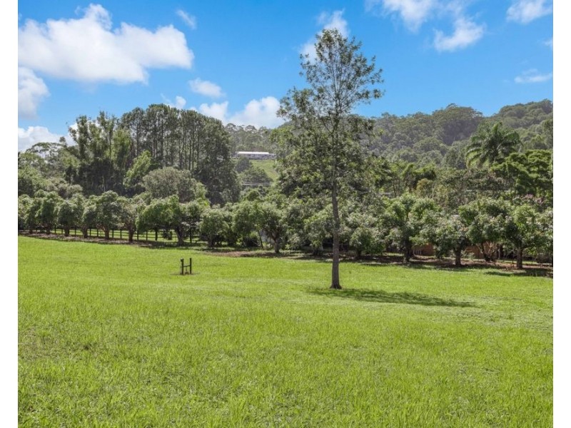 20 Green Valley Way, Piggabeen NSW 2486