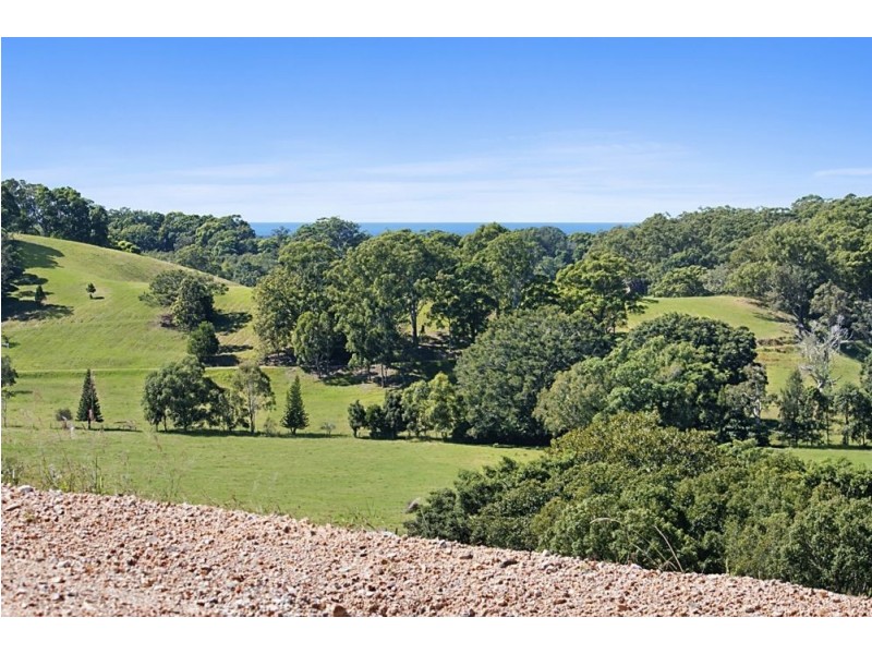 589 Pottsville Road, Sleepy Hollow NSW 2483