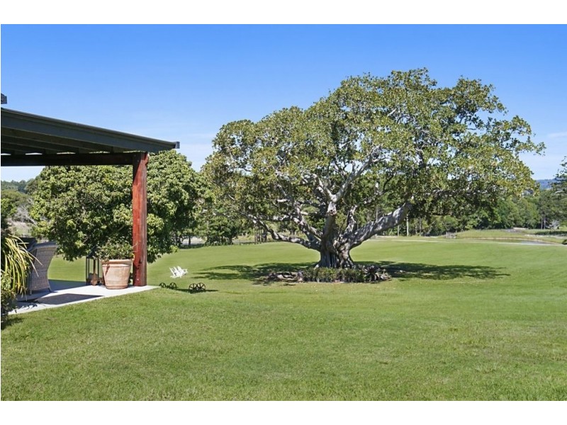 589 Pottsville Road, Sleepy Hollow NSW 2483