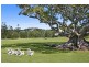 589 Pottsville Road, Sleepy Hollow NSW 2483