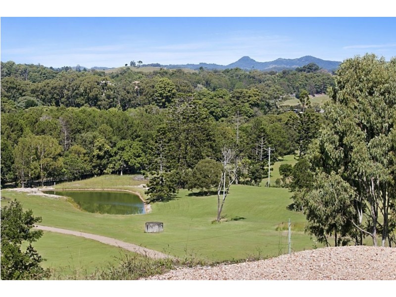 589 Pottsville Road, Sleepy Hollow NSW 2483