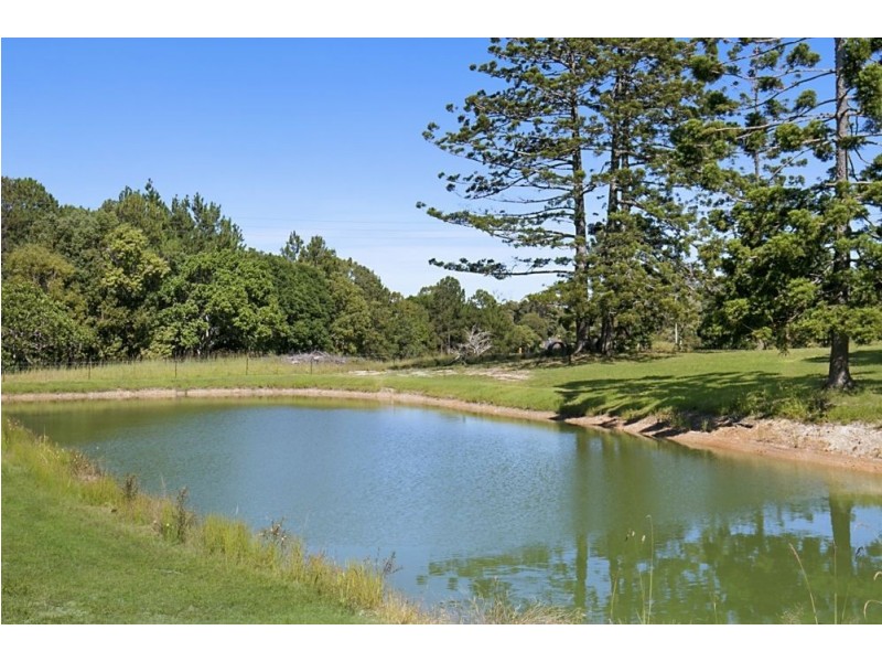 589 Pottsville Road, Sleepy Hollow NSW 2483