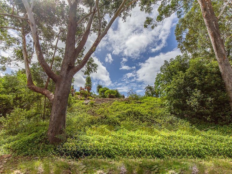 41 Lalina Avenue, Tweed Heads West NSW 2485