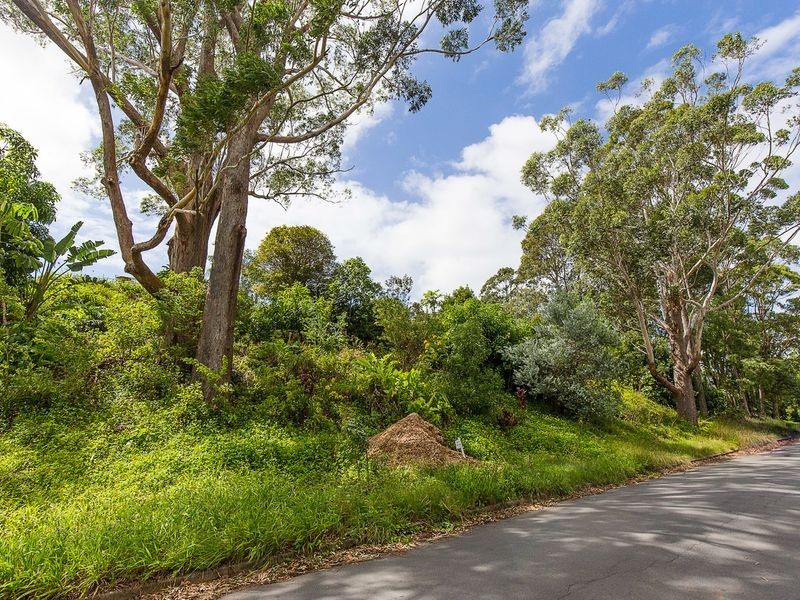 41 Lalina Avenue, Tweed Heads West NSW 2485