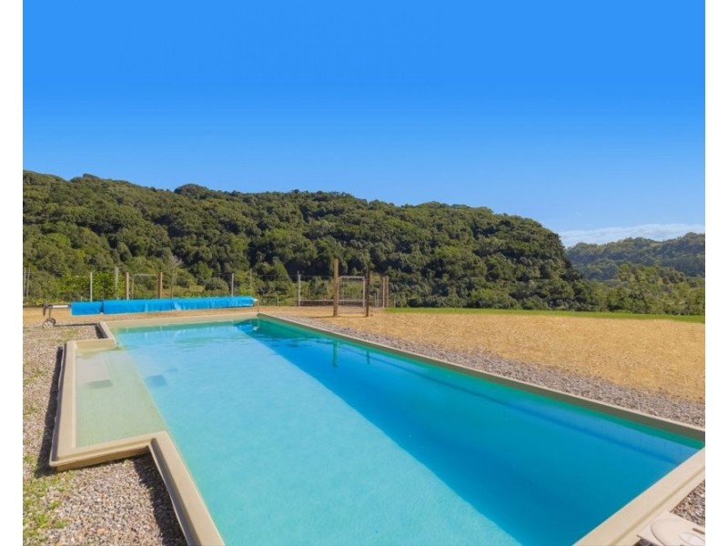 56 Bopple Nut Court, Cobaki NSW 2486