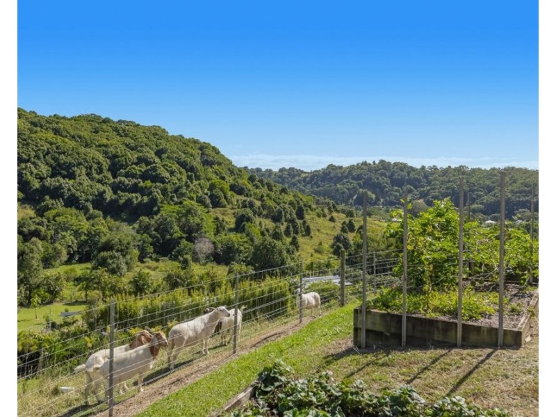 56 Bopple Nut Court, Cobaki NSW 2486