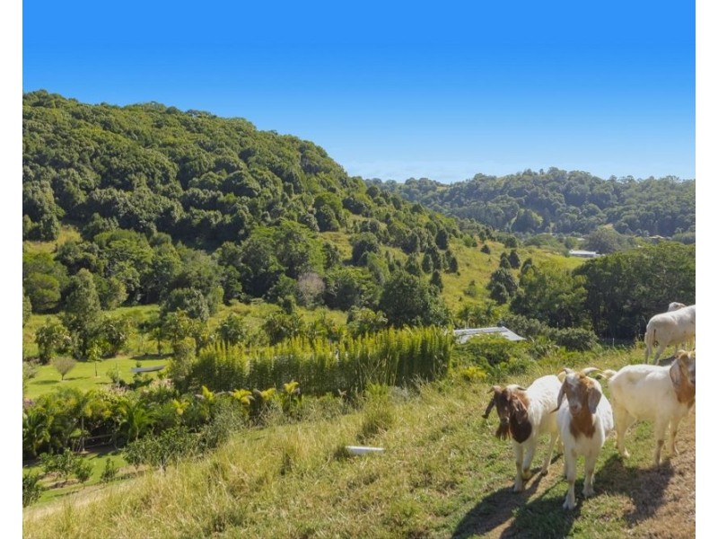 56 Bopple Nut Court, Cobaki NSW 2486