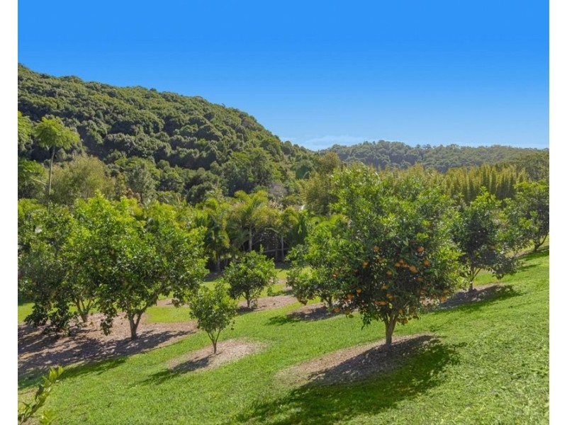 56 Bopple Nut Court, Cobaki NSW 2486