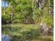 56 Bopple Nut Court, Cobaki NSW 2486