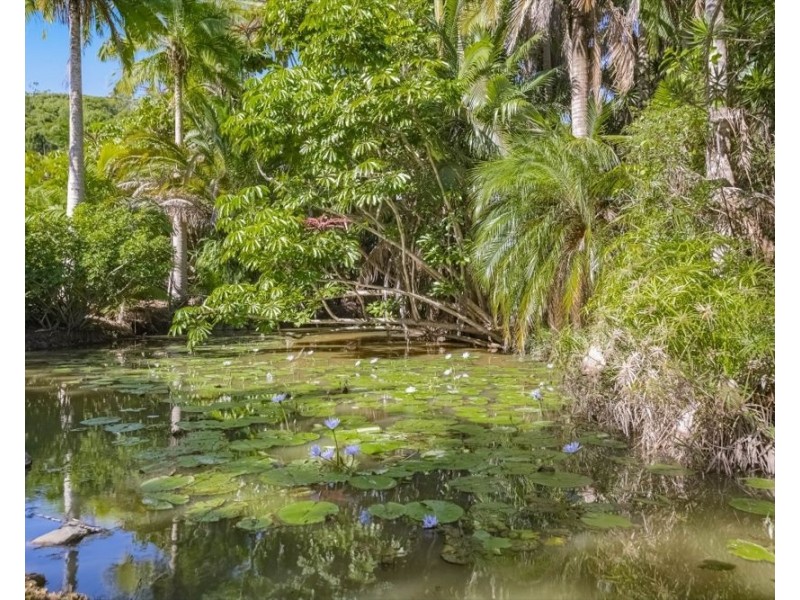 56 Bopple Nut Court, Cobaki NSW 2486