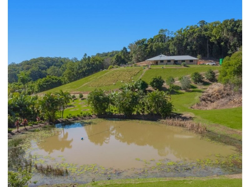 56 Bopple Nut Court, Cobaki NSW 2486
