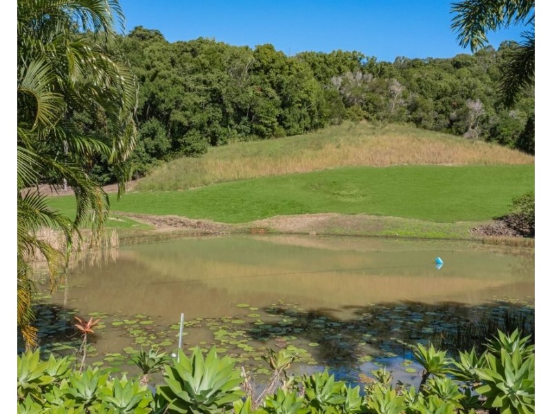 56 Bopple Nut Court, Cobaki NSW 2486