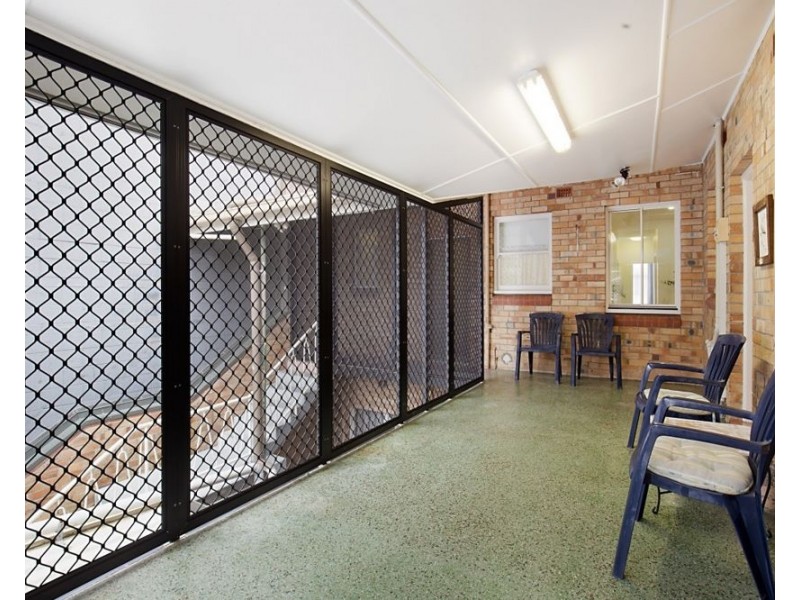 17 McLean Street, Coolangatta QLD 4225