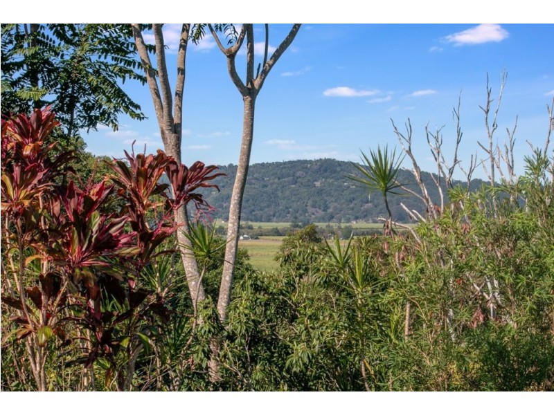 729 Dulguigan Road, North Tumbulgum NSW 2490