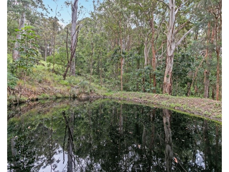 128 Robinsons Road, Cobaki NSW 2486