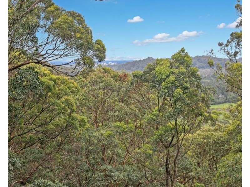 128 Robinsons Road, Cobaki NSW 2486