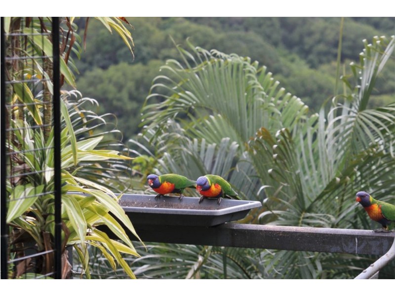 28 Peninsula Drive, Bilambil Heights NSW 2486