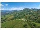 35 Cougal Road, Carool NSW 2486