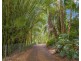 30 Green Valley Way, Piggabeen NSW 2486