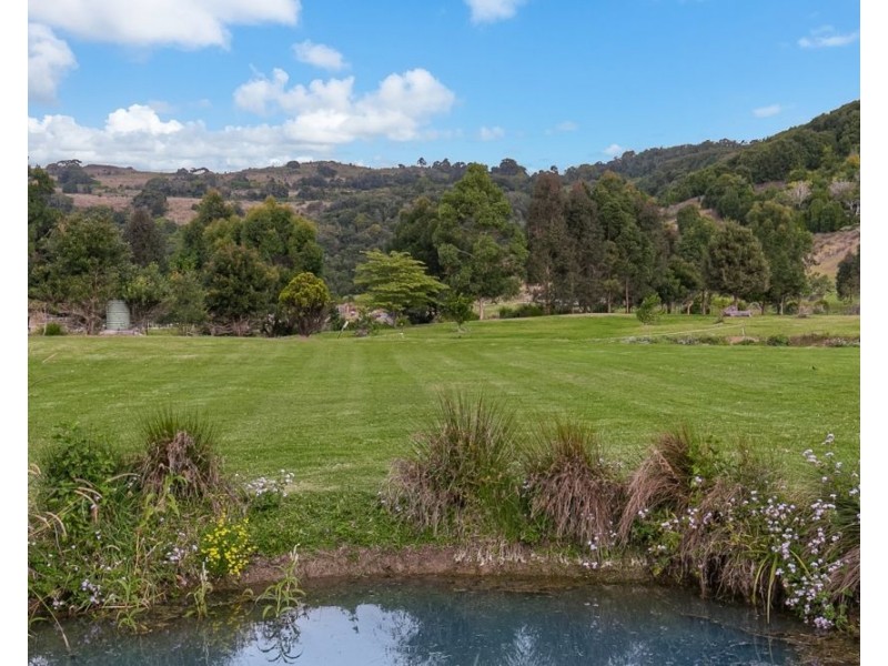 18 Bopple Nut Court, Cobaki NSW 2486