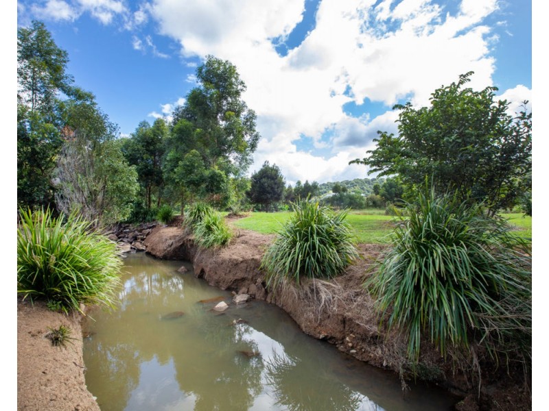 18 Bopple Nut Court, Cobaki NSW 2486