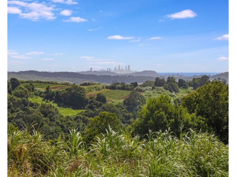 67 Scenic Drive, Bilambil Heights NSW 2486