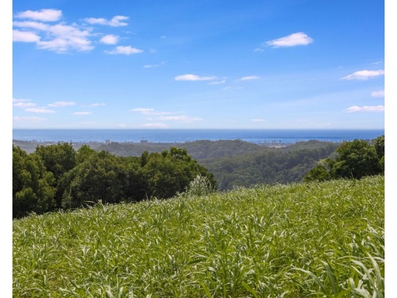 67 Scenic Drive, Bilambil Heights NSW 2486