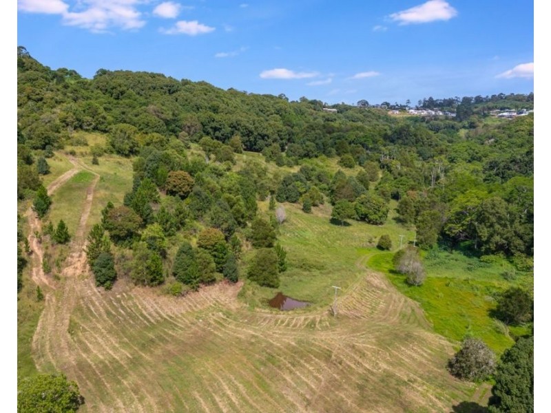 67 Scenic Drive, Bilambil Heights NSW 2486