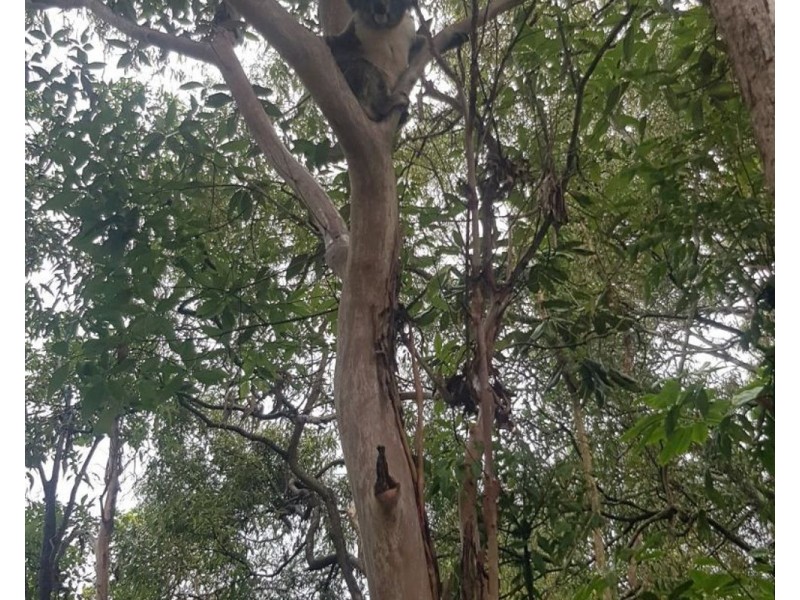 2 Hillcrest Avenue, Tweed Heads South NSW 2486