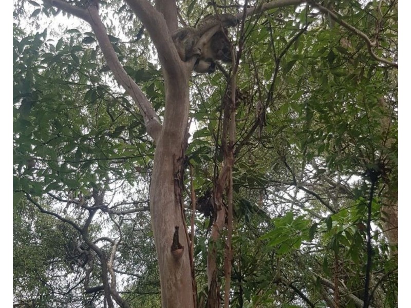 2 Hillcrest Avenue, Tweed Heads South NSW 2486