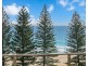 Coolangatta QLD 4225