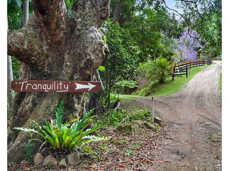 35 Cougal Road, Carool NSW 2486