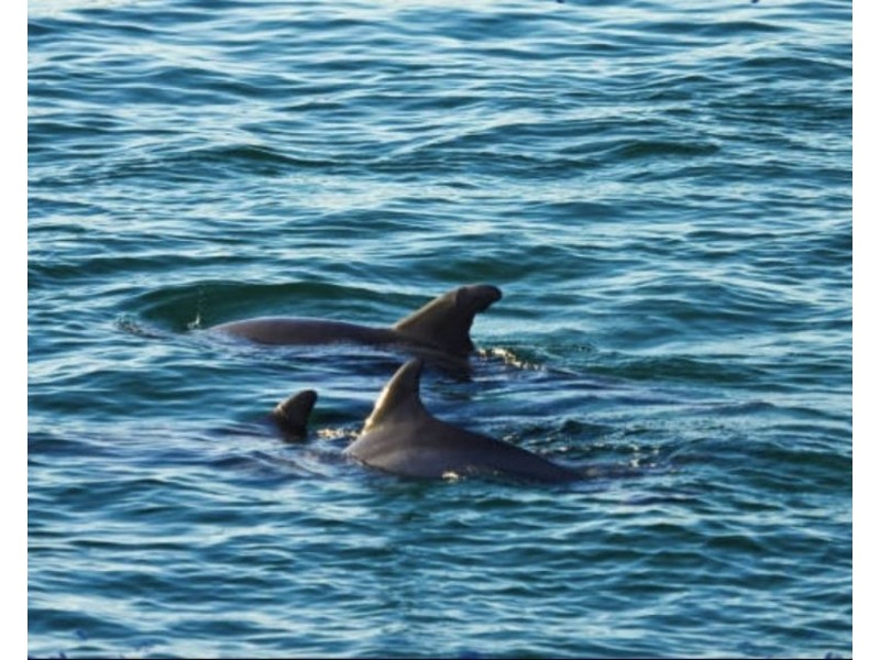 19 Chinderah Bay Drive, Chinderah NSW 2487