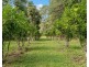 253 Palmvale Road, Palmvale NSW 2484
