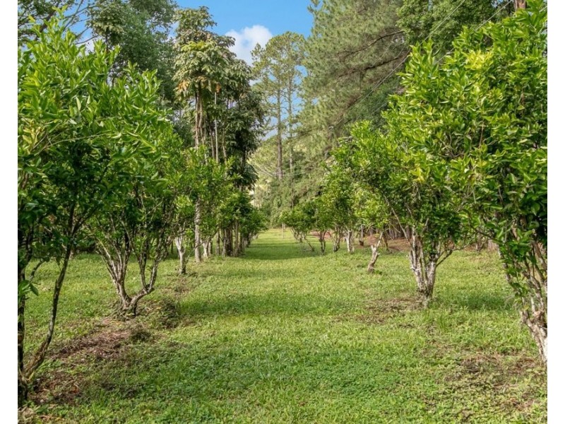 253 Palmvale Road, Palmvale NSW 2484
