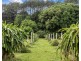 253 Palmvale Road, Palmvale NSW 2484