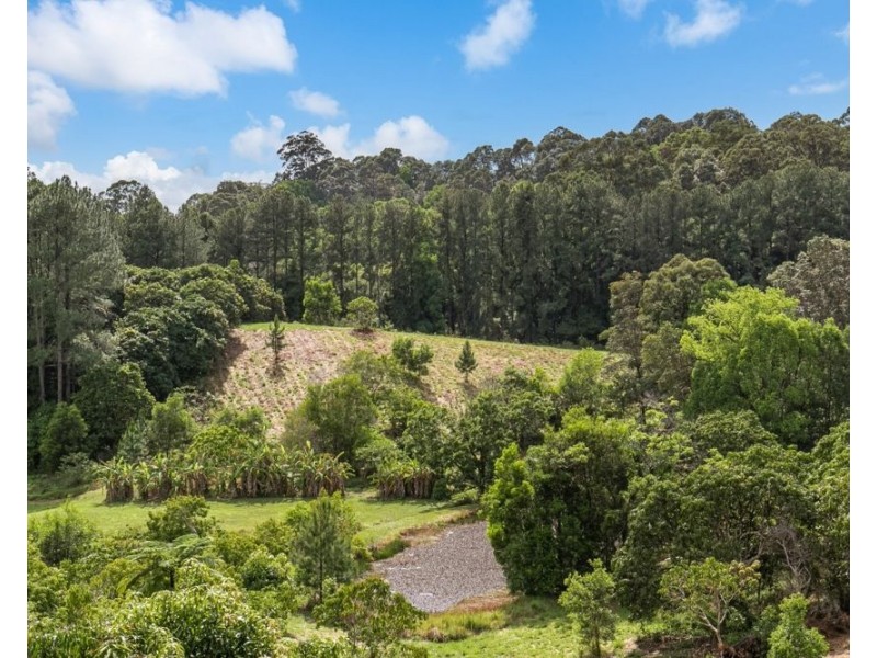 253 Palmvale Road, Palmvale NSW 2484