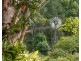 253 Palmvale Road, Palmvale NSW 2484