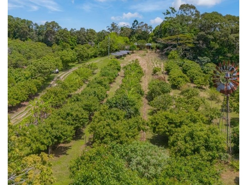 253 Palmvale Road, Palmvale NSW 2484